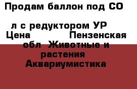 Продам баллон под СО2 4л с редуктором УР-6 › Цена ­ 2 000 - Пензенская обл. Животные и растения » Аквариумистика   